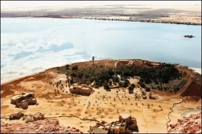 Bordée par le plateau du désert libyque, elle est occupée depuis l'Antiquité. Égyptienne aussi, elle porte le nom d'« oasis d'Amon » : ses jardins s'abreuvent sur des nappes souterraines, de sources artésiennes. 
Nommez l'oasis où Alexandre le Grand reçut de l'oracle confirmation qu'il était un descendant direct du dieu Amon et de ce fait, pharaon.