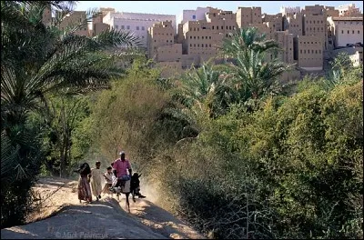 Cette oasis est entourée sur 3 côtés d'une palmeraie. Ensuite il y a un mur d'enceinte et 500 maisons serrées les unes sur les autres comme une forteresse : d'après l'Unesco, qui travaille sur le site, une cinquantaine sont dans un état critique et une loi de 1533 oblige à reconstruire comme avant.
Quel est ce ''Manhattan du désert'' où l'on voit ces maisons-tours du XVIe siècle en brique crue ?
