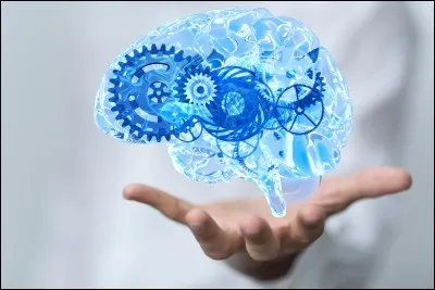 En 2 mots, comment te décrirais-tu avec une qualité et un défaut ?