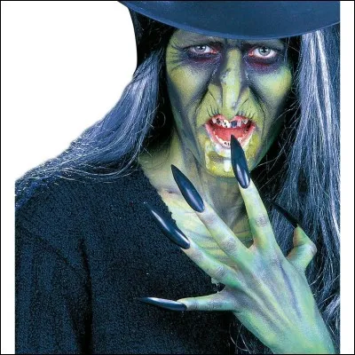 Pour finir sur quoi les sorcières voyagent-elles sous un point de vue fantastique ?