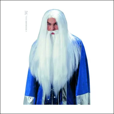 Comment dit-on sorcier en anglais ?