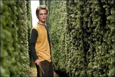 Dans quel film est mort Cédric Diggory ?
