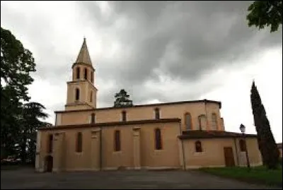Commune de l'ancienne région Midi-Pyrénées, dans la Montagne noire, Palleville se situe dans le département ...