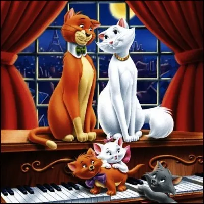 Amour et bonheur pour ces deux chats ! De qui s'agit-il ?