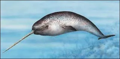 Cet animal existe-t-il vraiment ?