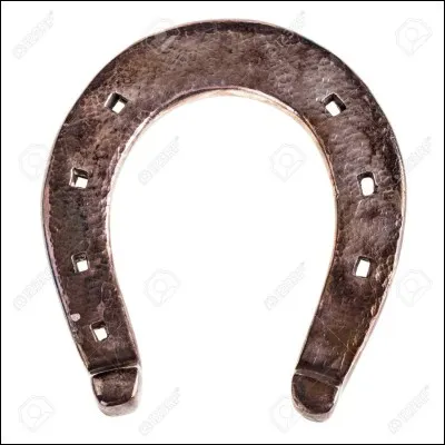 Comment s'appelle ce qui se trouve sous les sabots du cheval ?
