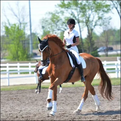 Comment appelle-t-on les personnes qui montent à cheval ?