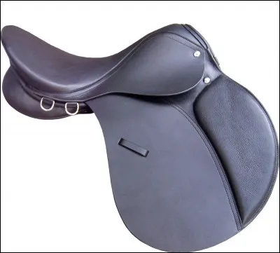 Comment appelle-t-on ce que l'on pose sur le dos du cheval ?