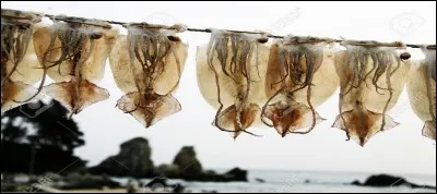 C'est en Cor&eacute;e du Sud, mais pas partout, que l'on frappe la plante des pieds du mari&eacute; pour renforcer sa virilit&eacute;, dit-on !Mais qu'utilisent les amis pour proc&eacute;der &agrave; ce rituel &eacute;trange ?