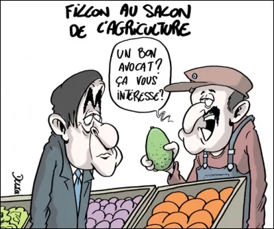 Science qui traite de la connaissance des terres cultivables !