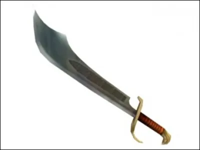 Quel est le nom de cette arme ?