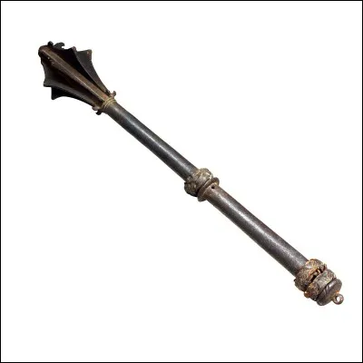 Quel est le nom de cette arme ?