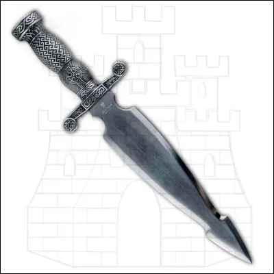 Quel est le nom de cette arme ?