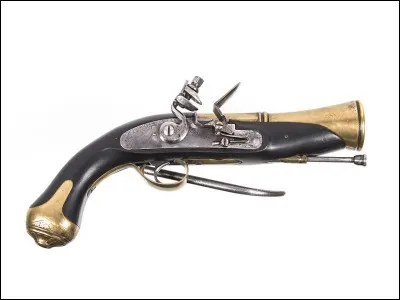 Quel est le nom de cette arme ?