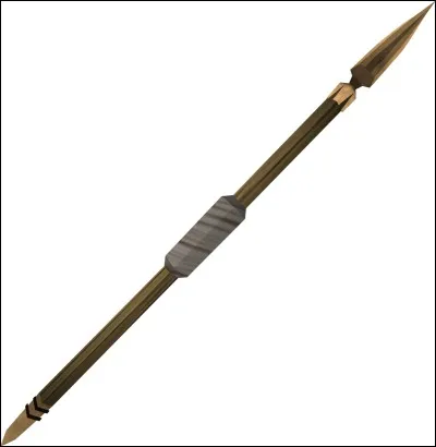 Quel est le nom de cette arme ?