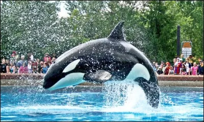 Dans quelle ville de la C&ocirc;te d'Azur l'espace Marineland, un parc &agrave; th&egrave;mes, se trouve-t-il ?