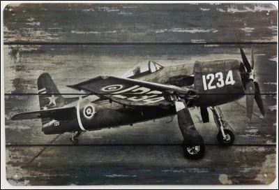 Qui a dit : « les guerres ne se gagnent pas avec des évacuations » ?