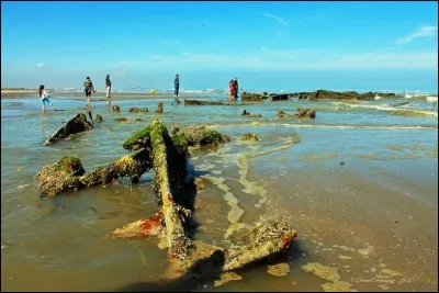 Quel a été le problème principal de l'Opération Dynamo ?