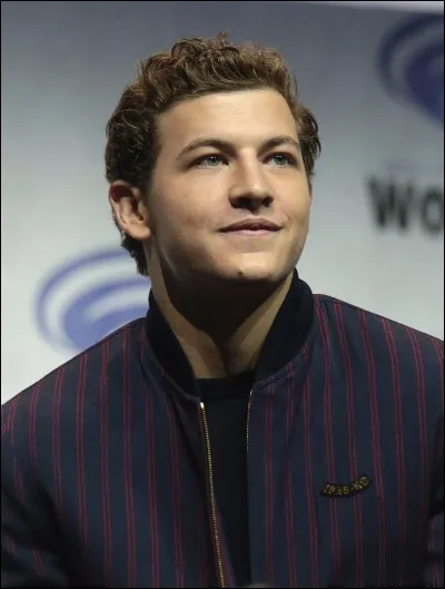 Dans quel film Tye Sheridan a-t-il jou&eacute; ?