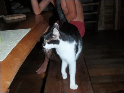 Faire trop de choses en même temps !