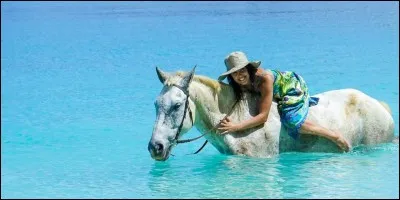 Un cheval sait-il nager ?