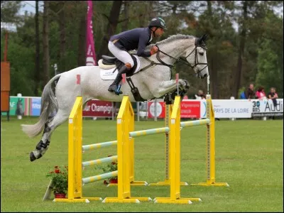 Quelle est la discipline présente sur cette photo ?