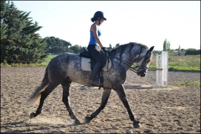 Quelle est la discipline présente sur cette photo ?