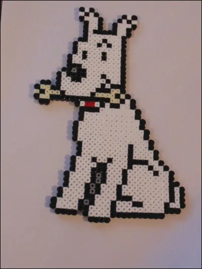 Quelle est la race de Milou, le chien de Tintin ?