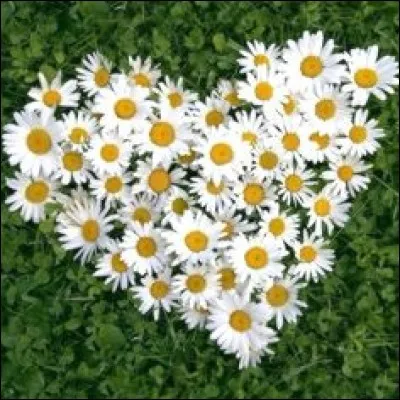 Comment Serge Lama aime-t-il ?