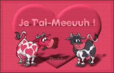 Complétez les paroles des Negra Bouch' Beat : 
"Je sais pas comment te dire ce que je peux pas écrire
Faudrait que j'invente des mots qui existent pas dans le dico
C'est toi que je t'aime..."