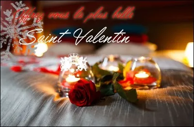 Quel acteur joue dans le film "Officier et Gentleman" ?