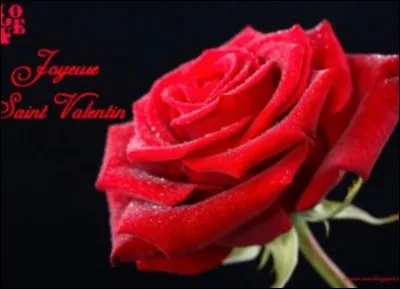 Le film "Guerre et Amour" a été réalisé par...