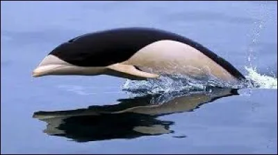 Et celui-ci, existe-t-il vraiment ?