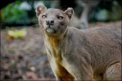 Et celui-ci, existe-t-il vraiment ?