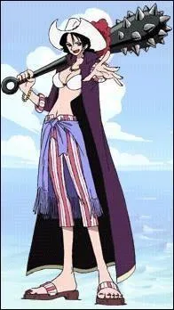 Quel est le pouvoir de Alvida ?