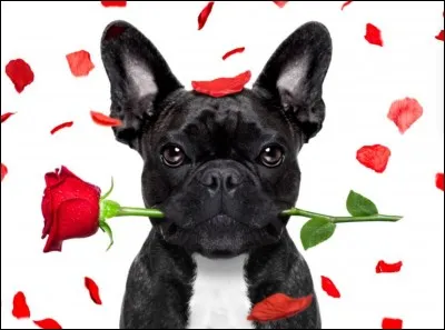 Existe-t-il des reliques de Saint-[...] ?