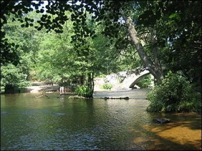 « ...Désir fier que rien ne chasse
L'Cure transi reste sourd
Aux cris du marchand d'glaces... »