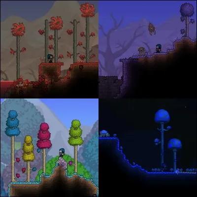 Quels sont les noms de ces quatre environnements ?