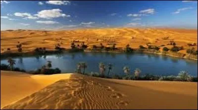 "Oasis" est un mot...