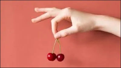 On dit ... testicule !