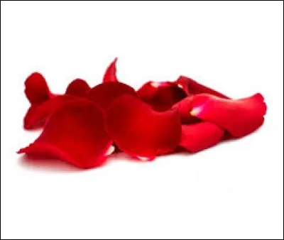 "Pétale" est un mot...