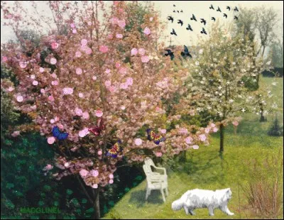 Dans notre jardin se dresse un cerisier. Il n'a pas encore de [bour...ons] mais nous [ima...inons] déjà ses [...olies] fleurs.