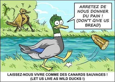 Je n'avais pas vu ce panneau ! La prochaine fois, [...] [man...rai] tout mon pain.