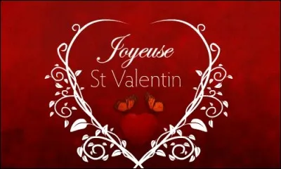 Qui chante "J'aime les filles" ?