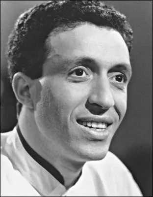 Quel auteur propose aux jeunes issus de l'immigration des modles positifs d'intgration ?