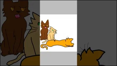 Qui remplace Étoile de Feu à sa mort ?