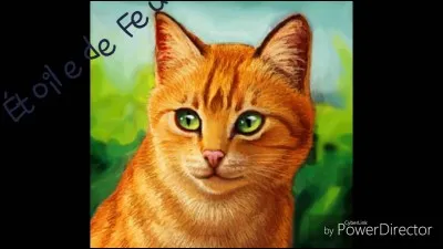 Étoile de Feu meurt à cause...