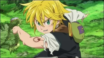 Quel pouvoir possède Meliodas ?