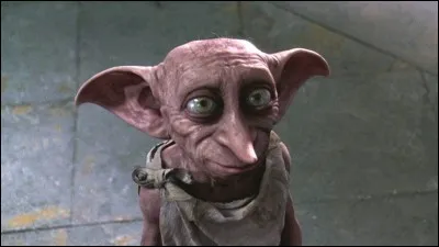 Qui a tué Dobby ?