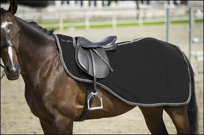 L'hiver, quand il fait froid, on peut mettre au cheval...